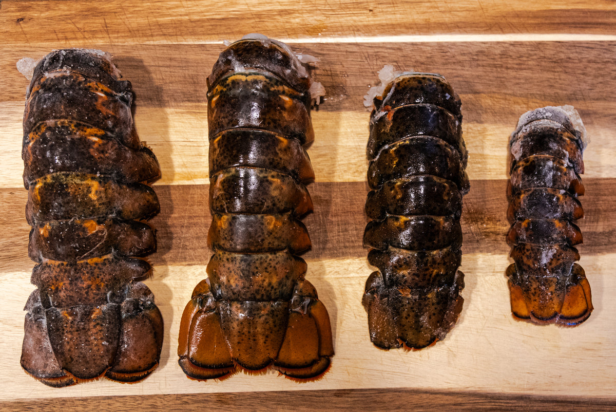 Small Wild-Caught Maine Lobster