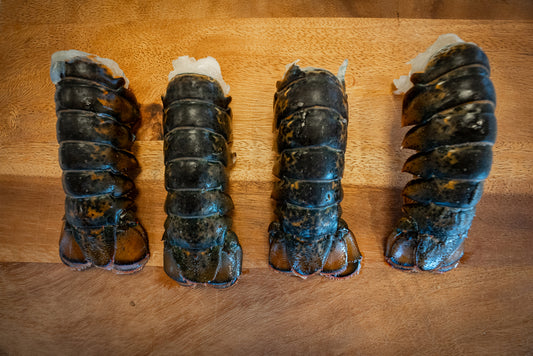Maine Lobster Tails